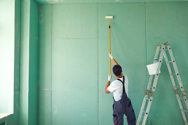 Mold Odor Removal Services in Westmere, NY