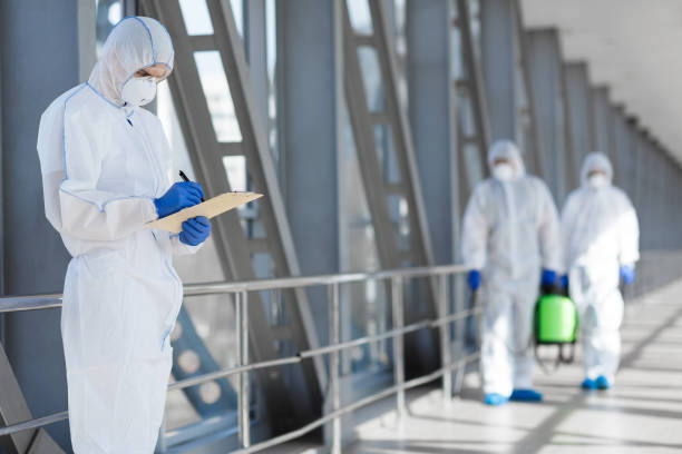 Best Mold Documentation for Insurance Claims  in Westmere, NY