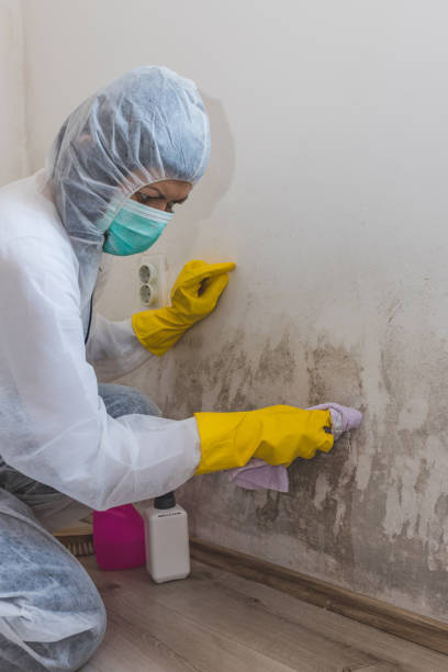 Best Indoor Air Quality Assessment  in Westmere, NY