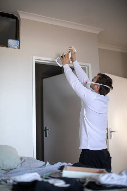 Environmental Consulting for Mold Prevention in Westmere, NY