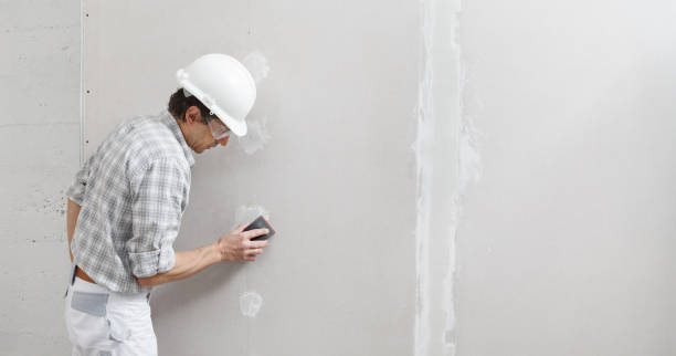 Best Real Estate Mold Inspection  in Westmere, NY