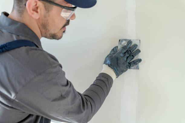 Best Forensic Mold Investigation  in Westmere, NY