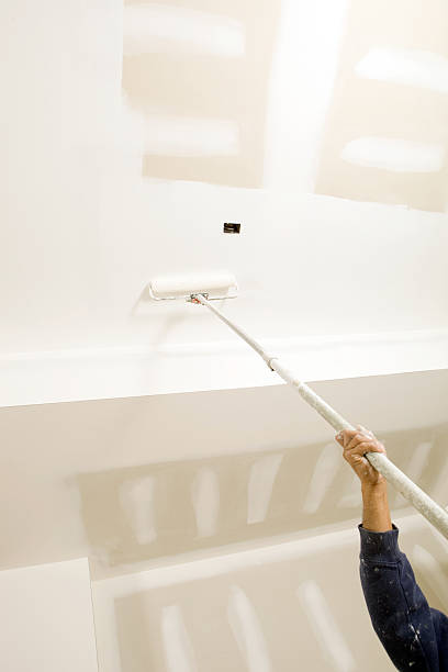 Best Mold Remediation for Healthcare Facilities  in Westmere, NY