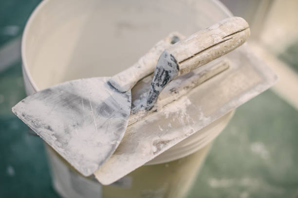 Best Mold Remediation for Healthcare Facilities  in Westmere, NY